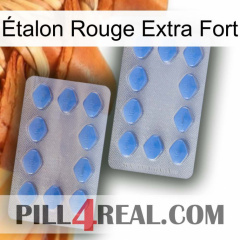 Étalon Rouge Extra Fort 20